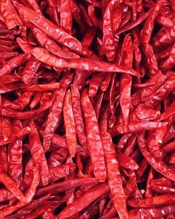 red chilli